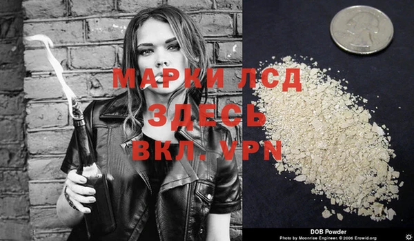 гашиш Богданович