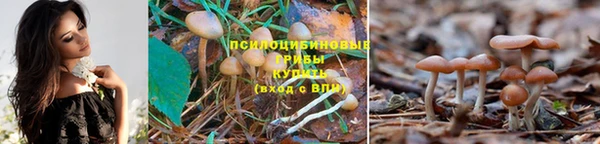 синтетический гашиш Богородск