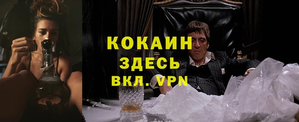 индика Сафоново