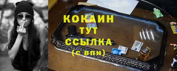 гидра Бородино