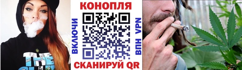 Бошки марихуана планчик  наркошоп  Белая Холуница 